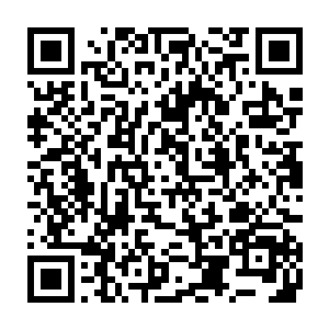 我好像有点明白……为什么熊吉会如此频繁地犯罪并屡屡被捕了……二维码生成