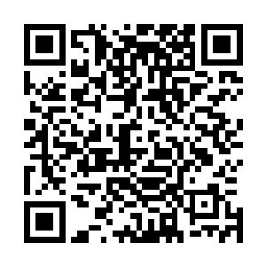 我好奇的是他们为什么要不断的袭击一支国际人道救援部队二维码生成