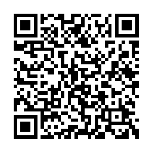 我如今让你活着是因为你现在还有一些利用价值二维码生成