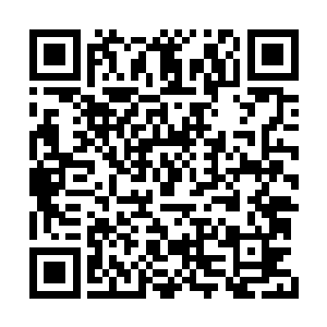 我妈的墓园上下山这条路我有多熟悉你不会知道二维码生成