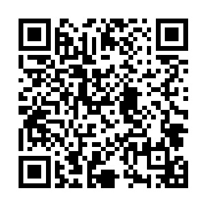 我始终不曾通过他得到有关咕仔父亲尸骨制成的骨器讯息二维码生成