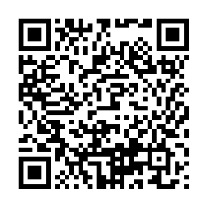 我姐妹二人入凤府的目的便也多了寻找宝图的这一条二维码生成