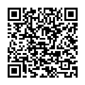 我姐姐上次可是堂堂正正在斗法场上击败了你叔父二维码生成