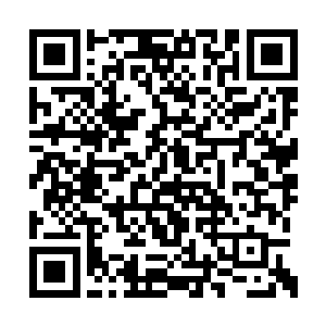 我姐姐是因为她们母女两个才会落得那种下场的二维码生成