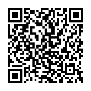 我娘不是说江湖上有什么动物才能闻到的香味吗二维码生成