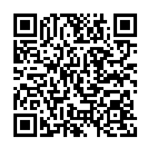 我娘从其他州县调集了粮食布匹药材等物资过来二维码生成