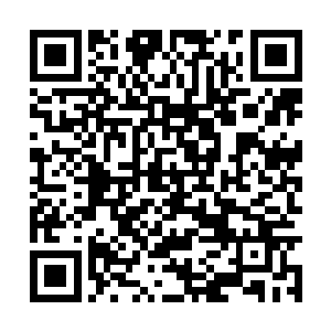 我孙子给我找了张看春晚的票……春晚当然有票了二维码生成