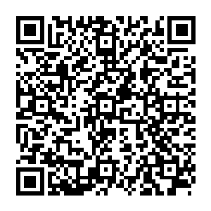 我孙忠就从这个走廊这一头爬到另一头……哈哈……反正我是不相信会有奇迹出现二维码生成