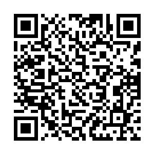 我宁愿和猪也不愿意和你这个猪狗不如的家伙在一起二维码生成