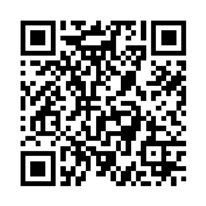 我安排你和我科研队的领队见一面二维码生成