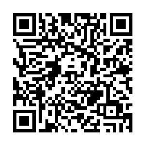 我安排华师妹和你的女儿给你来上一场精彩的……二维码生成