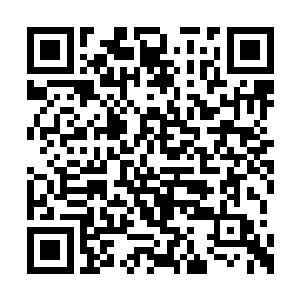 我完全可以无视黄金阶剑士拿着史诗装备的攻击二维码生成