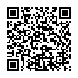 我完全没必要使用这么极端的方法亲自上门去挑衅二维码生成