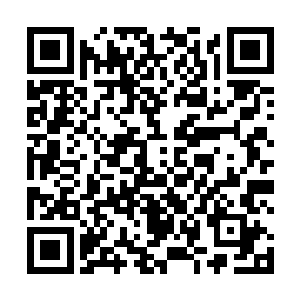 我完全能感觉到林可儿的良苦用心––顾瑶对应着王瑶二维码生成