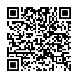 我完全难以想象一个胖子能够有这样的速度和身手二维码生成
