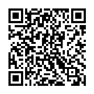 我宣布第十六万三千六百二十七次外门九九灵山试炼二维码生成