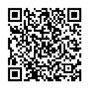 我家主人的想要得到的和付出的东西都写在这上面了二维码生成