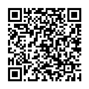 我家小姐被天京华威娱乐传媒有限公司的星探看中二维码生成