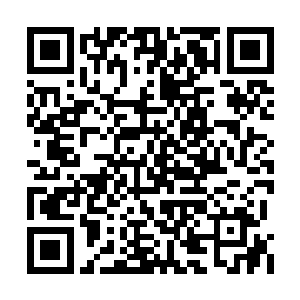 我对你们这些战争机器的结构和原理也不太掌握二维码生成