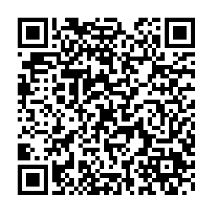 我对旅游市场是否如陆县长所说的那样进入黄金发展期持正面态度二维码生成