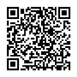 我对白狐说且走且看也就中断了和白狐的精神力联络二维码生成