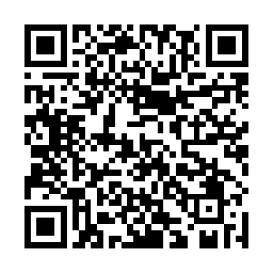 我对着大山里藏在暗处的小嘎子喊说我一定会回来看他二维码生成