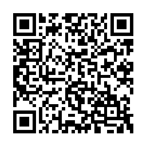 我将一种名为毒蛊的微小生物融入到了障毒当中二维码生成