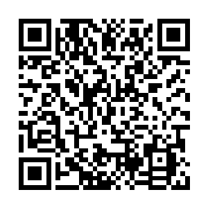 我将和俞致远聊的那一些内容全都发送给了徐韶二维码生成