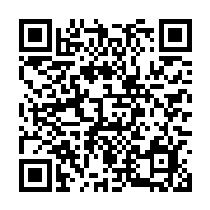 我将少正豪那连接魔道的沟通办法重新演算了一遍二维码生成