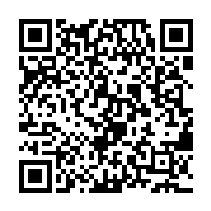 我将彻底消除他们在这一段时间内所放生的一切记忆二维码生成