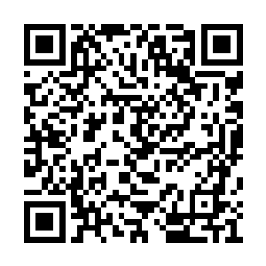 我将战场中的血气能量都收集到这枚聚灵珠里了二维码生成