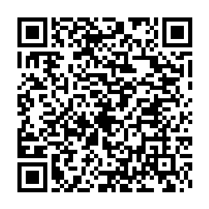 我将莫非云等二十个人埋伏在这里伺机而动……再加上我们的蛇堂二维码生成