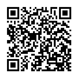 我将这些画面在脑海中联合起来就像电影一样播放二维码生成