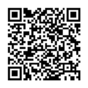 我将那段记忆和秘密封印起来了极品农业大亨最新章节二维码生成