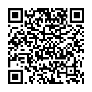 我小心的瞄了一眼抓着婉柔姐的手不敢放的魏燕二维码生成