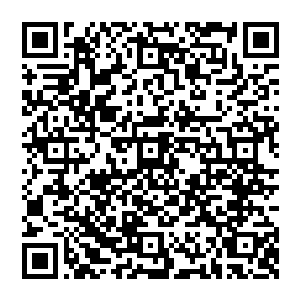 我尤其认为突袭者队的球员和主教练比或是其他教练在所调查的这起事件中没有不当行为或是知晓不当行为二维码生成