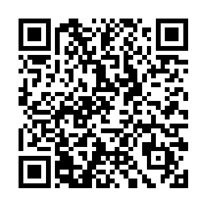 我就不信了……普通的自动步枪都打不死他也就罢了二维码生成
