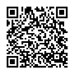 我就不信你们能把这个什么歪曲力场弄的全天国都是二维码生成