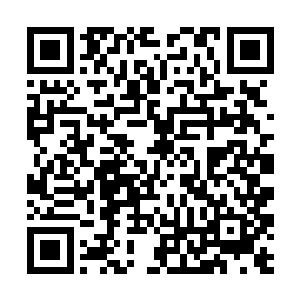 我就不信我们几个大男生还会被她一个心机婊给玩了二维码生成