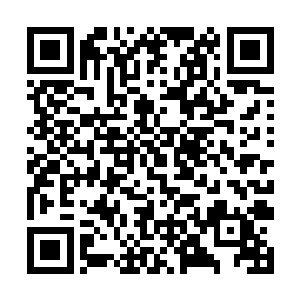 我就不信湖州这么大的地方还找不出一个开发区主任二维码生成