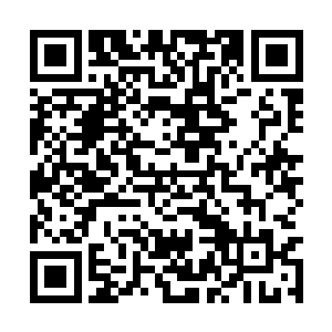 我就不信这几个人真的能找到黑龙村失踪的那些人二维码生成