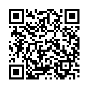 我就不信那辆肇事车可以跑到天上去了二维码生成