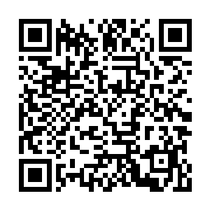 我就不相信他还能在你元灵里一直住着不成……二维码生成