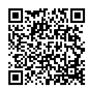 我就不知道了为什么这些隐居的道士老是喜欢说缘分缘分二维码生成