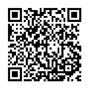 我就不知道你们心里面在想些什么了你们不就是想要说我装逼吗二维码生成