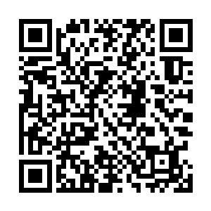 我就为他们感到惋惜明月春天先生先生听了土影的话之后二维码生成