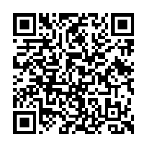 我就冲过去一钢管砸到最前面一个混子肩膀上了二维码生成