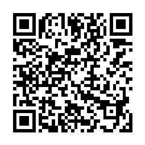 我就可以给你的脸恢复原样孙子轩知道这个时候不能撒谎二维码生成
