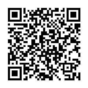 我就向组织上申请了定期的专业心理辅导和精神评估二维码生成