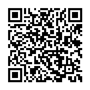 我就在这帝王之血的瓶子上涂抹了一些狗尾巴草二维码生成